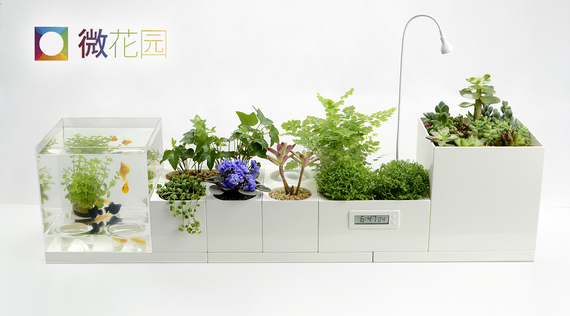 微花园：让科技成为生活的风景图1