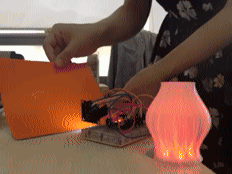 自带保护色的变色龙灯图2