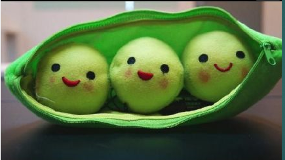 会唱歌的豌豆制作教程图2