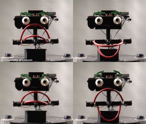 英国研发“情感机器人” 喜怒哀乐表情多(图)图2