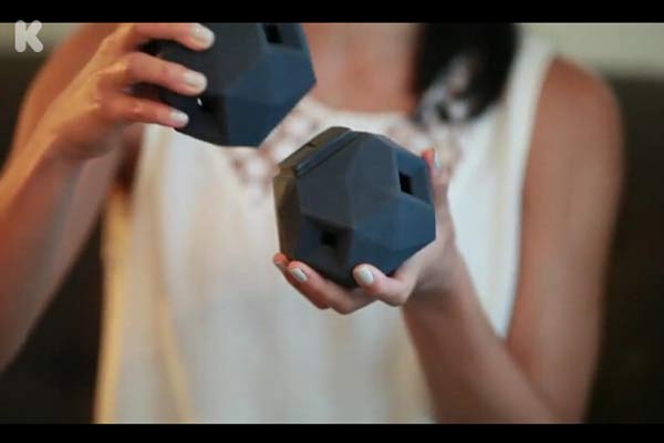 3D打印宠物玩具 让狗狗爱不释嘴？图2