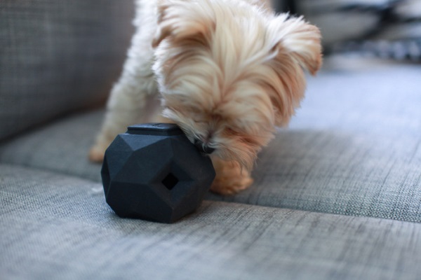 3D打印宠物玩具 让狗狗爱不释嘴？图1
