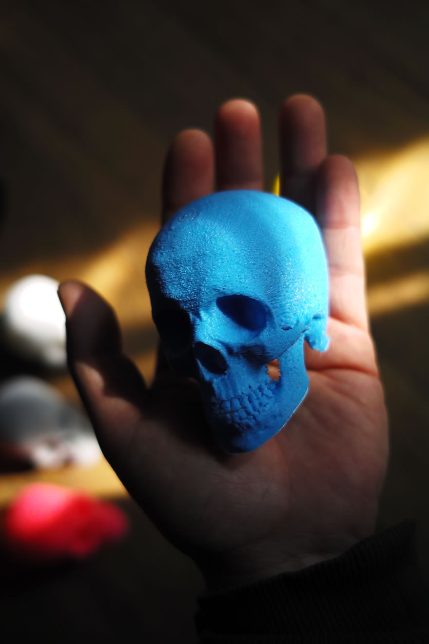 3D打印与艺术结合..作品If death is colored图3