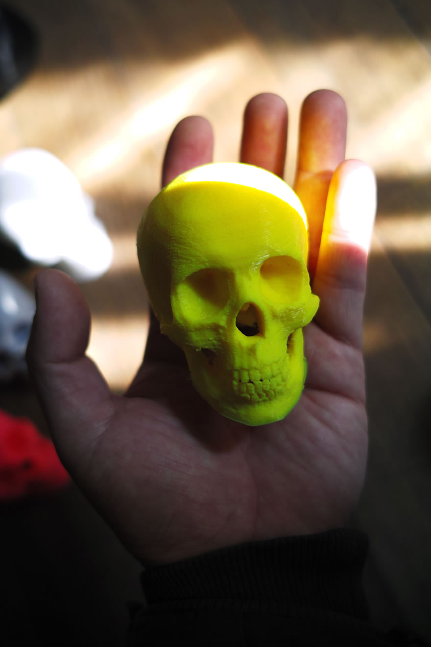 3D打印与艺术结合..作品If death is colored图4