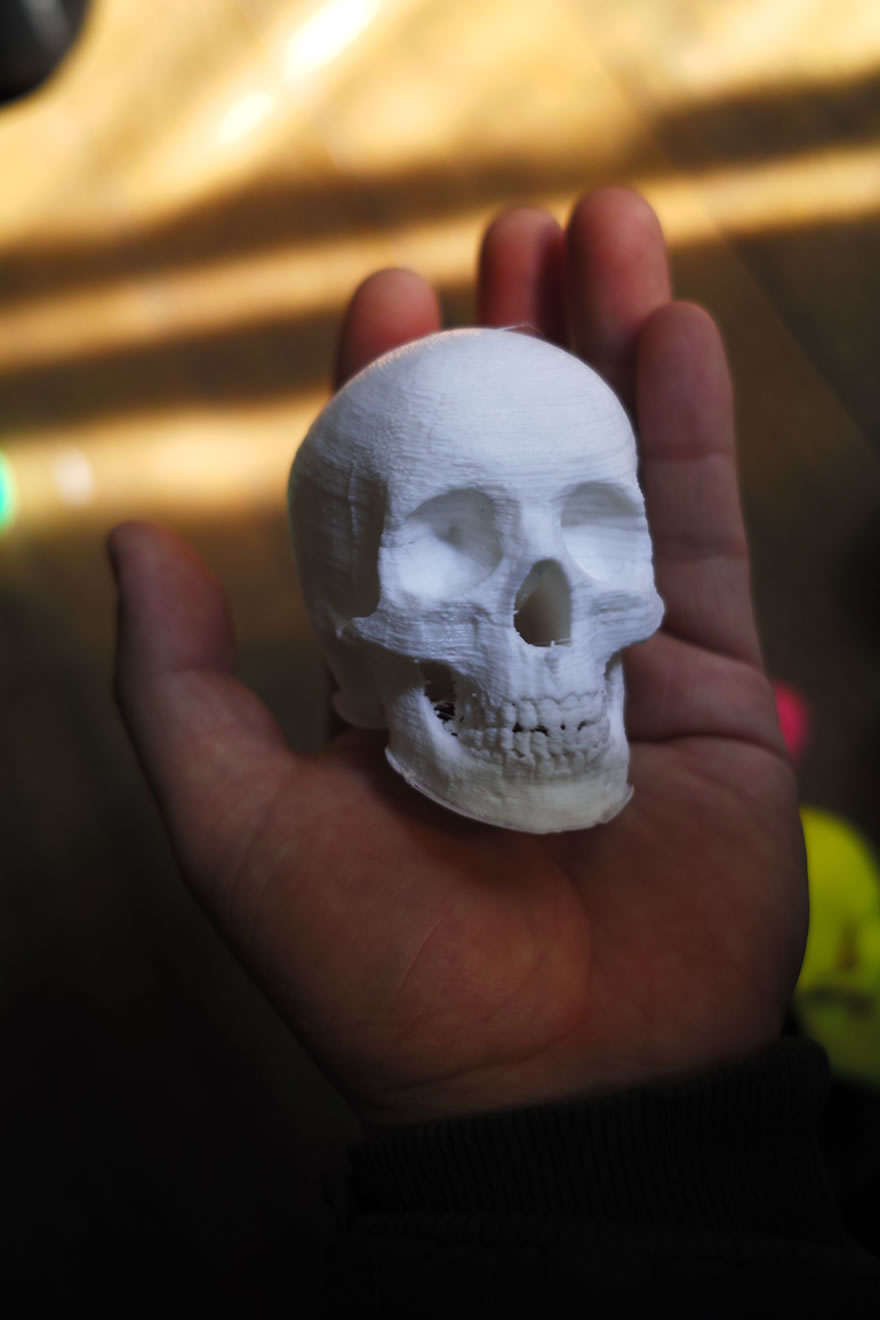 3D打印与艺术结合..作品If death is colored图7