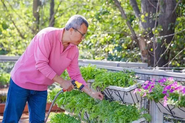 52岁的他，在北京郊外建起了集装箱桃花源图1