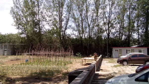 52岁的他，在北京郊外建起了集装箱桃花源图9