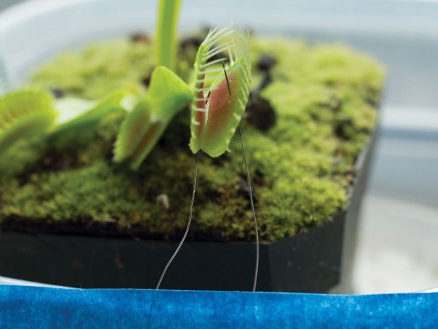 看大神用Arduino遥控“捕蝇草”，探索机械生物图8