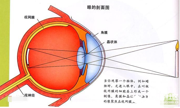 预防近视——距离传感器新玩法图3