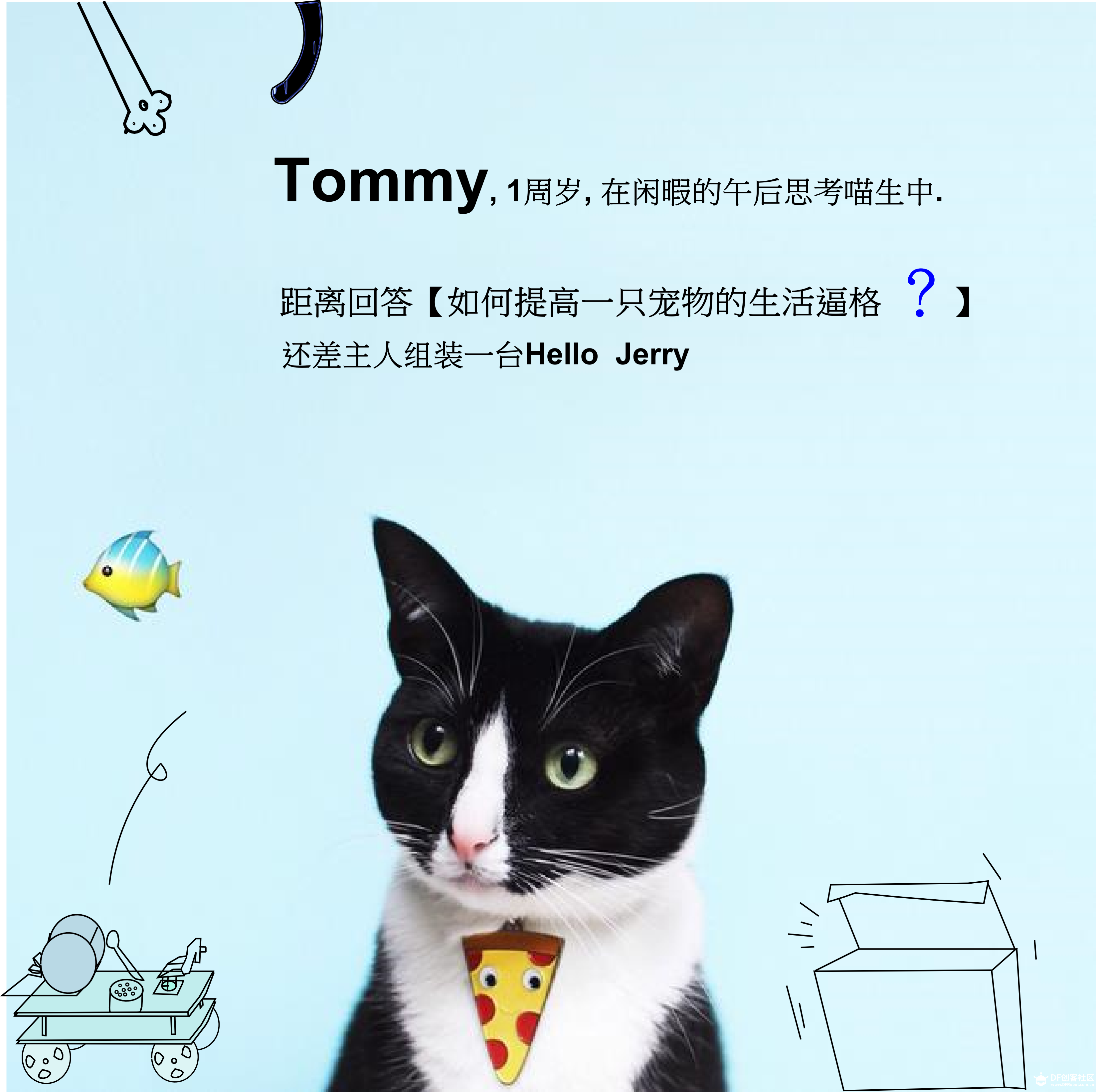 【神龙教】 ------"Hello Jerry" 宠物互动装置图2