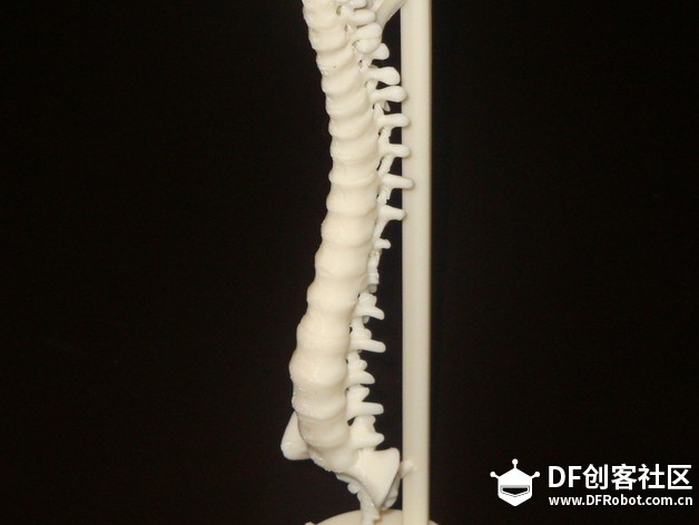教师节敬献 3D打印教具特辑图3