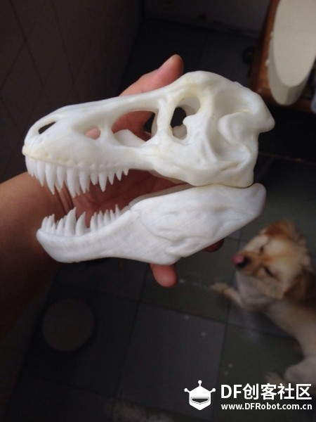 宠物感应拍照机图3