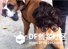 单身狗过个节要这么拼！！！图3