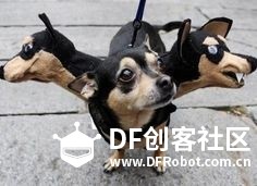 单身狗过个节要这么拼！！！图7