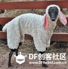 单身狗过个节要这么拼！！！图10