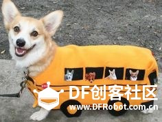 单身狗过个节要这么拼！！！图12