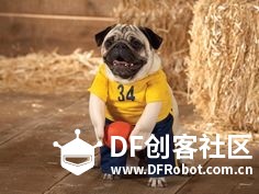 单身狗过个节要这么拼！！！图17