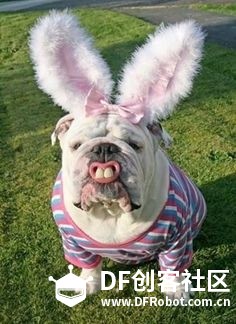单身狗过个节要这么拼！！！图16