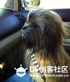 单身狗过个节要这么拼！！！图13