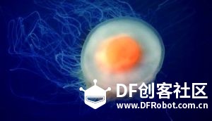 爱小鱼又养不活？——懒人必试自动换水系统图16