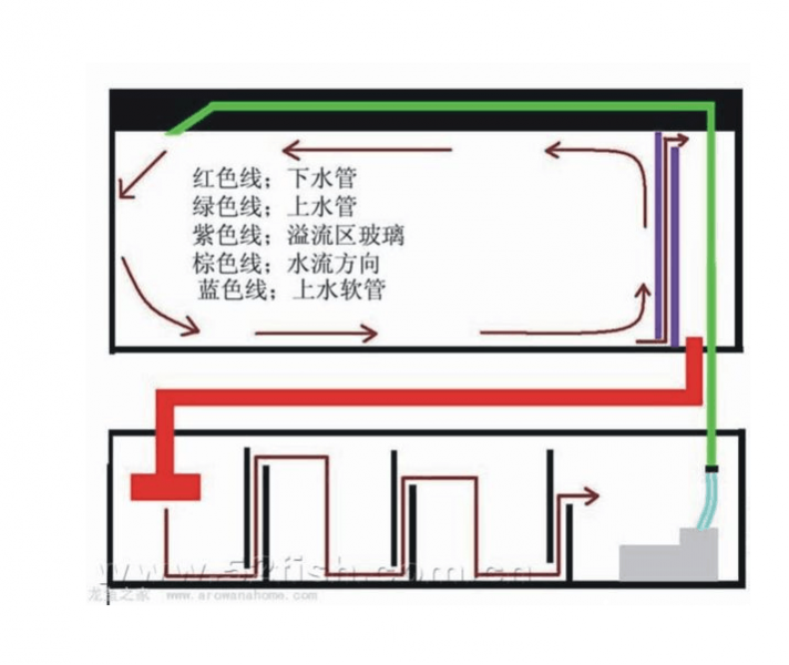 懒人养鱼之-自动鱼缸图1