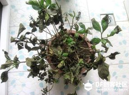 智能自浇花系统图9