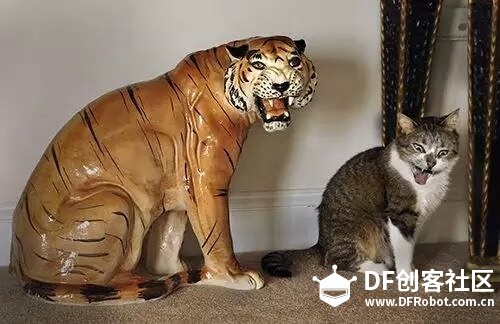 猜猜这是干嘛用~~~~~~图1