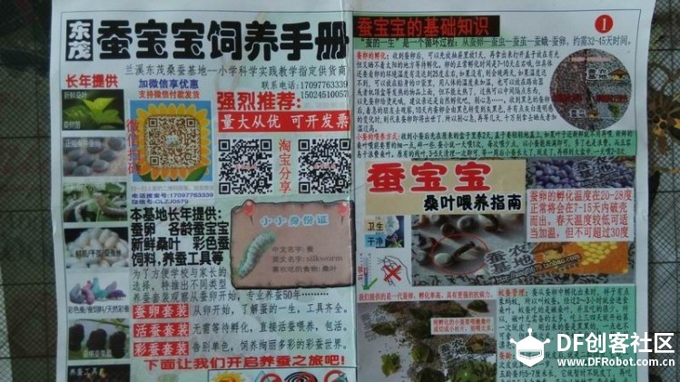 养蚕的有没有图5