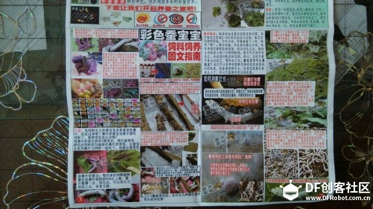 养蚕的有没有图6