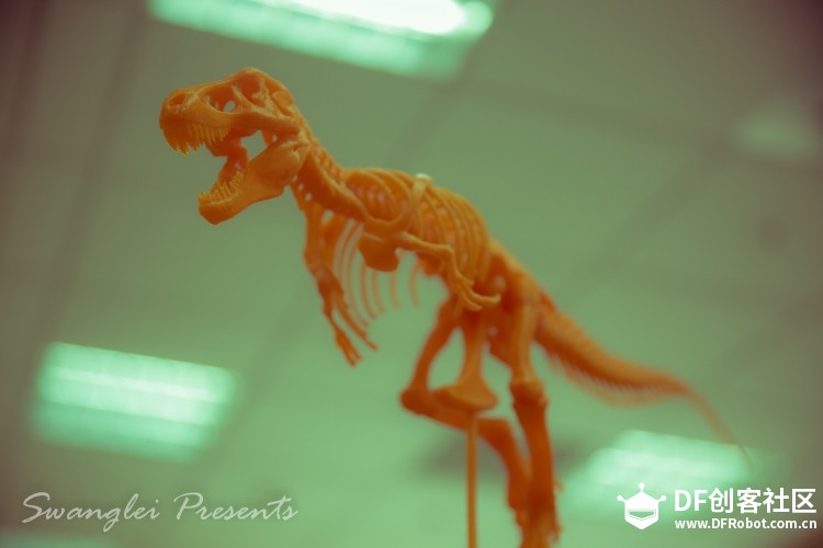 【3D打印】 霸王龙骨架图2