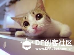 【敢不敢】秀出你的桌面----王大师图2