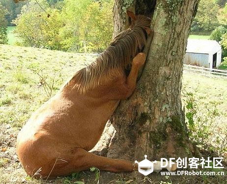 【敢不敢】秀出你的桌面----王大师图1