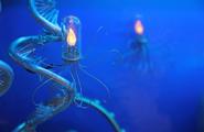 Nemo Gould——最富创客精神的动力雕塑系列作品图2