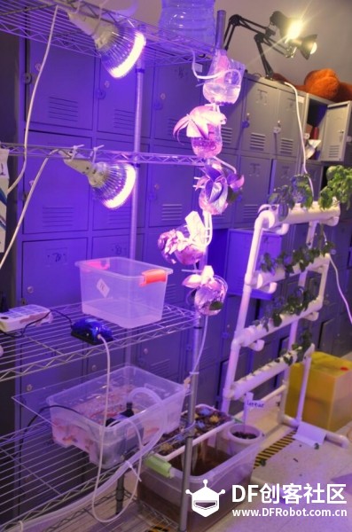 【一起交作业】2016年秋季上海纽约大学交互媒介课程展图21