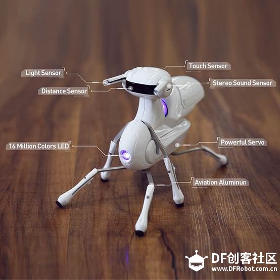 虫虫机器人引爆香港玩具展，机器人玩具成为春节最佳礼品图10