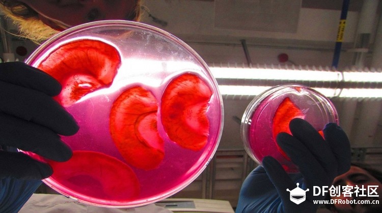 5个应用3D打印技术的生物黑客实验室图1