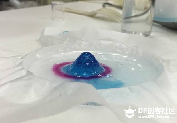 5个应用3D打印技术的生物黑客实验室图7