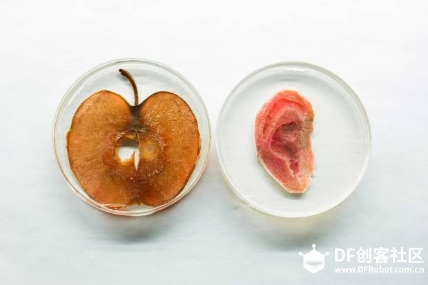 5个应用3D打印技术的生物黑客实验室图2
