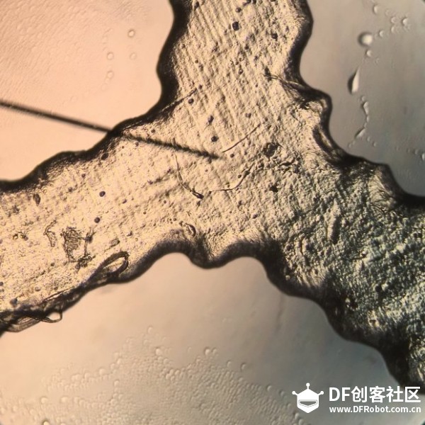 5个应用3D打印技术的生物黑客实验室图8