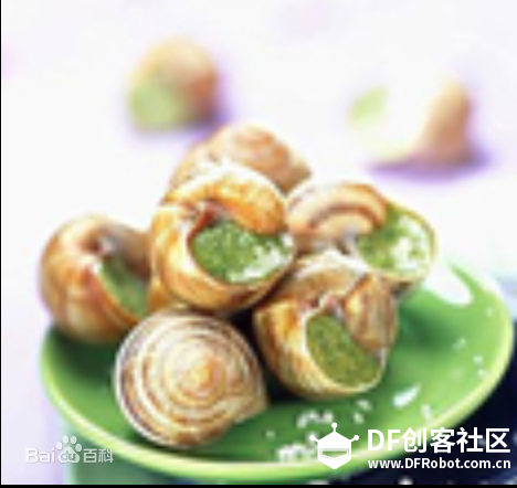 “红烧”蜗牛图1
