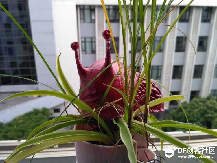 “红烧”蜗牛图7
