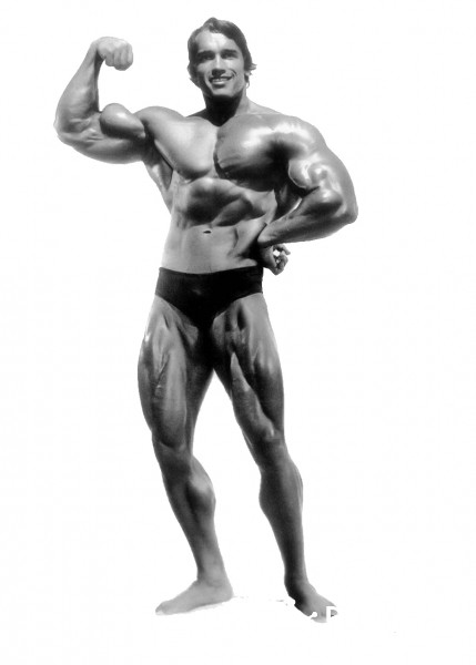 喜欢Muscle的你一起来Make桌面灯箱图2