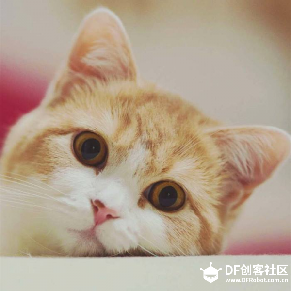 炫彩灯带-柱状显示图2