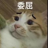 【建造日志】魔鬼鱼mini有刷版本图10