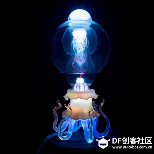 2018旧金山湾区Maker Faire之“LED小黑屋”专场图15