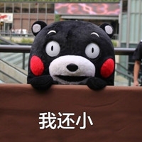 2018旧金山MakerFaire之萌娃专场图1