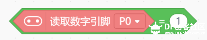 孔雀开屏图20