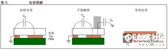 【掌控】送你一朵害羞的花图14