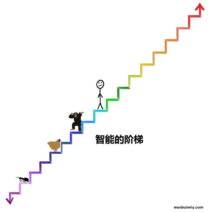 为什么最近有很多名人让人们警惕人工智能？图18
