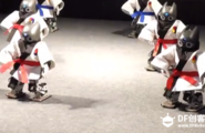 [视频] 机器人武术表演图1